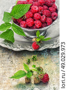 raspberries. Plucked raspberries in vintage iron ramekin.Photo tinted.Selective focus. Стоковое фото, агентство Ingram Publishing / Фотобанк Лори