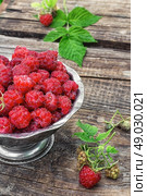 Plucked raspberries in vintage iron ramekin. Стоковое фото, агентство Ingram Publishing / Фотобанк Лори