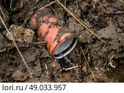 Wastewater drain pipe in nature. Стоковое фото, агентство Ingram Publishing / Фотобанк Лори