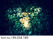 High resolution photo in best quality. Стоковое фото, агентство Ingram Publishing / Фотобанк Лори
