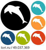 dolphin icon. Стоковая иллюстрация, агентство Ingram Publishing / Фотобанк Лори