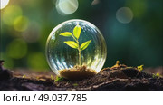 A glass sphere of pure dew drops in a forest on earth is a ball with an internal microclimate, a clean environment, protecting the ecology of the planet. AI generated. Стоковое AI-видео, аниматор Ольга Симонова / Фотобанк Лори
