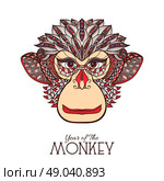 Colored monkey front view face hand drawn sketch vector illustration. Monkey Color Face. Стоковая иллюстрация, агентство Ingram Publishing / Фотобанк Лори