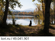 Black Labrador waiting by a lake filled with beautiful reflected autumnal colour. Стоковое фото, агентство Ingram Publishing / Фотобанк Лори