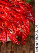 Crayfish.  red boiled  Crayfish in bowl  close up. Стоковое фото, агентство Ingram Publishing / Фотобанк Лори