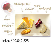 cheese plate -  cheddar, oscypek, roquefort, old amsterdam and neufchatel cheese - with wine. Стоковое фото, агентство Ingram Publishing / Фотобанк Лори