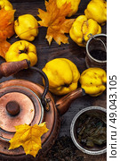 Copper kettle brewing and quinces. Стоковое фото, агентство Ingram Publishing / Фотобанк Лори