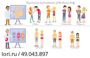 Set temperament of people and constitution of body. Sanguine and choleric, phlegmatic and melancholic, constitution mesomorph and ectomorph, endomorph human illustration. Стоковая иллюстрация, агентство Ingram Publishing / Фотобанк Лори
