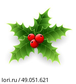 Christmas Holly Berry. . Christmas Holly Berry isolated on white. Vector illustration. Стоковая иллюстрация, агентство Ingram Publishing / Фотобанк Лори