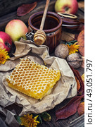 honeycombs. Стоковое фото, агентство Ingram Publishing / Фотобанк Лори