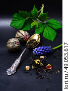 range of exotic teas. Varieties tea infuser spoon with custard on  dark background. Стоковое фото, агентство Ingram Publishing / Фотобанк Лори
