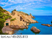 Aigua Xelida beach Cala in Tamariu Parafrugell of Girona at Catalonia Spain. Стоковое фото, агентство Ingram Publishing / Фотобанк Лори