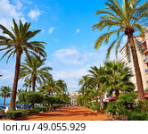 Ayuntamiento Lloret de Mar at Jacint Verdaguer passeig promenade City Hall Costa Brava of Catalonia Spain. Стоковое фото, агентство Ingram Publishing / Фотобанк Лори