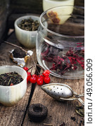 Varieties of tea. trendy cup with tea brewing in the background spoons and viburnum. Стоковое фото, агентство Ingram Publishing / Фотобанк Лори