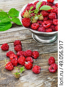 Ripe and juicy raspberries. Full ramekin of berries ripe raspberry on wooden background. Стоковое фото, агентство Ingram Publishing / Фотобанк Лори