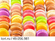 traditional french colorful macarons in a rows in a box. Стоковое фото, агентство Ingram Publishing / Фотобанк Лори