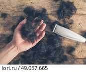 A male hand is holding some cut hair by a wooden table with a hair clipper. Стоковое фото, агентство Ingram Publishing / Фотобанк Лори