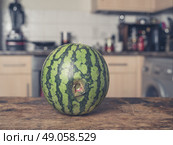A bruised and rotten watermelon on a table in a kitchen. Стоковое фото, агентство Ingram Publishing / Фотобанк Лори