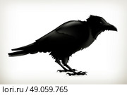 Black raven, vector silhouette. Стоковая иллюстрация, агентство Ingram Publishing / Фотобанк Лори