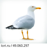 Sea gull, vector icon. Стоковая иллюстрация, агентство Ingram Publishing / Фотобанк Лори
