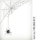 Spider web vector. Стоковая иллюстрация, агентство Ingram Publishing / Фотобанк Лори