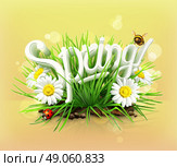 Spring, time for a picnic, grass, flowers of camomile, a ladybug and a bee in the garden, an universal background. Стоковая иллюстрация, агентство Ingram Publishing / Фотобанк Лори