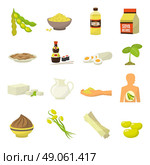 Soy Food Icons. Soy food icons - soy milk soy beans soy sauce soy meat tofu soy oil vector illustration. Стоковая иллюстрация, агентство Ingram Publishing / Фотобанк Лори