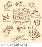 Spices Sketch Set. Spices sketch set with nutmeg vanilla cinnamon ginger isolated vector illustration. Стоковая иллюстрация, агентство Ingram Publishing / Фотобанк Лори