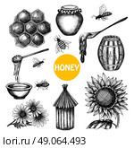Honey set black hand drawn doodle . Honey production black icons set with beehive honeycombs cells and flying bees doodle abstract isolated vector illustration. Стоковая иллюстрация, агентство Ingram Publishing / Фотобанк Лори