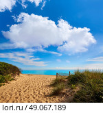 Cape Cod Herring Cove Beach in Massachusetts USA. Стоковое фото, агентство Ingram Publishing / Фотобанк Лори