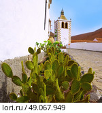 Betancuria Santa Maria church Fuerteventura at Canary Islands matriz cathedral. Стоковое фото, агентство Ingram Publishing / Фотобанк Лори