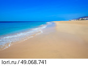 Morro Jable Matorral beach Jandia in Pajara of Fuerteventura at Canary Islands. Стоковое фото, агентство Ingram Publishing / Фотобанк Лори