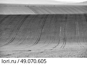 Czech Moravia hills. Agriculture . Arable lands in spring. Стоковое фото, агентство Ingram Publishing / Фотобанк Лори