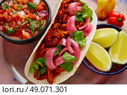 Cochinita Pibil Mexican food with pico de gallo lemon and chili. Стоковое фото, агентство Ingram Publishing / Фотобанк Лори