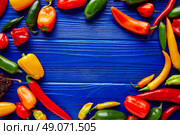 Mexican hot chili peppers colorful mix habanero poblano serrano jalapeno blue background. Стоковое фото, агентство Ingram Publishing / Фотобанк Лори