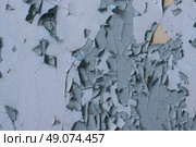 Peeling paint on the wall. Old concrete wall with cracked flaking paint. Weathered rough painted surface with patterns of cracks and peeling. High resolution texture for background and design. Closeup. Стоковое фото, фотограф Андрей Степанов / Фотобанк Лори