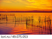 La Albufera lake sunset in El Saler of Valencia at Spain. Стоковое фото, агентство Ingram Publishing / Фотобанк Лори