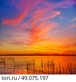 La Albufera lake sunset in El Saler of Valencia at Spain. Стоковое фото, агентство Ingram Publishing / Фотобанк Лори