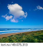 Tavernes de Valldigna beach dunes in Valencia of Spain. Стоковое фото, агентство Ingram Publishing / Фотобанк Лори