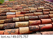 Arabic roof tiles pattern texture in Teruel of Spain. Стоковое фото, агентство Ingram Publishing / Фотобанк Лори