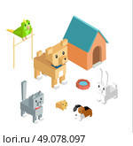 Pets set icon isometric 3d design. Dog and cat, animal group of pets, puppy animal, kitten character, nature domestic pets, fauna hamster parrot and rabbit, guinea pig vector illustration. Стоковая иллюстрация, агентство Ingram Publishing / Фотобанк Лори