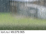Window to a garden with raindrops on a rainy day. Стоковое фото, агентство Ingram Publishing / Фотобанк Лори