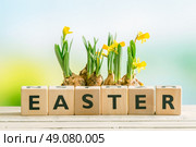 The word easter with yellow daffodil flowers on a table. Стоковое фото, агентство Ingram Publishing / Фотобанк Лори