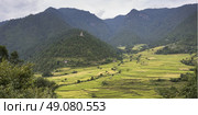 Elevated view of terraced field, Punakha, Punakha Valley, Punakha District, Bhutan. Стоковое фото, агентство Ingram Publishing / Фотобанк Лори