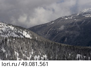 View of snowcapped mountains in winter, Whistler Mountain, British Columbia, Canada. Стоковое фото, агентство Ingram Publishing / Фотобанк Лори