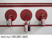 Fire extinguishers hung on awall, Fabrica La Aurora, San Miguel de Allende, Guanajuato, Mexico. Стоковое фото, агентство Ingram Publishing / Фотобанк Лори
