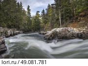 River flowing in a forest, Whistler, British Columbia, Canada. Стоковое фото, агентство Ingram Publishing / Фотобанк Лори