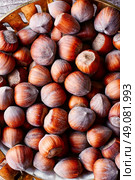 Fruits of hazelnut in the copper bowl and scattered near.Top view. Fruits of hazelnut. Стоковое фото, агентство Ingram Publishing / Фотобанк Лори