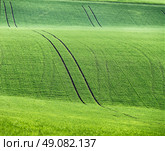 Green spring hills. Arable lands in Czech Moravia. April. Стоковое фото, агентство Ingram Publishing / Фотобанк Лори