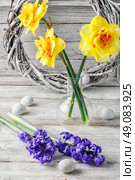 Composition with narcissus,hyacinth, and white Easter eggs. Стоковое фото, агентство Ingram Publishing / Фотобанк Лори